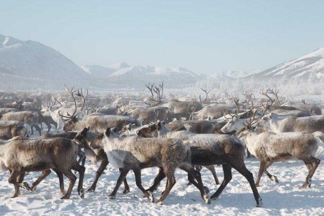 Якутия. Неизведанный край