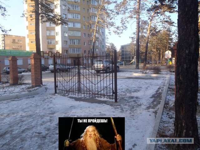 Это Чита, детка)