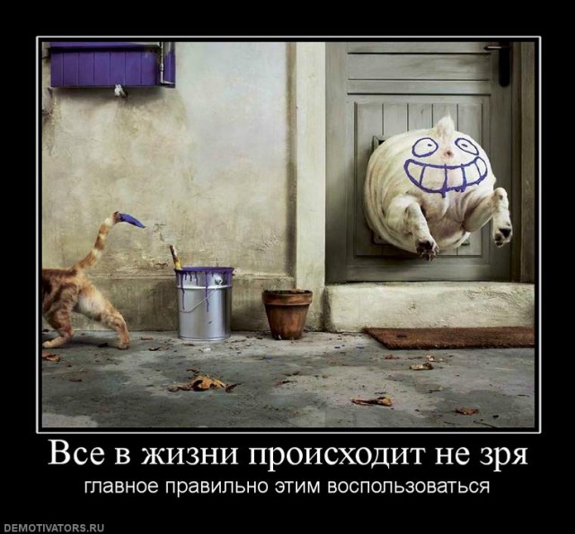 Вы хотите "демов"?