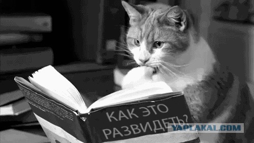 Просто невообразимая красавица!