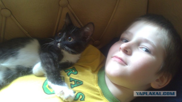 Котовторник наступил!:)