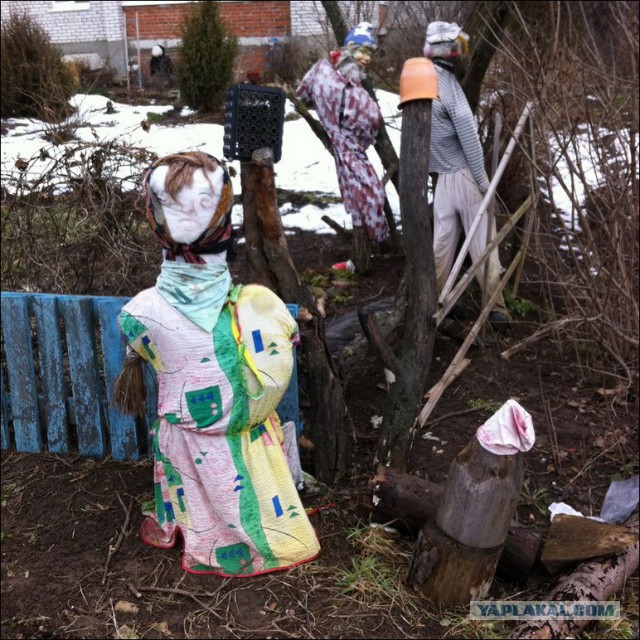 Наши дворы