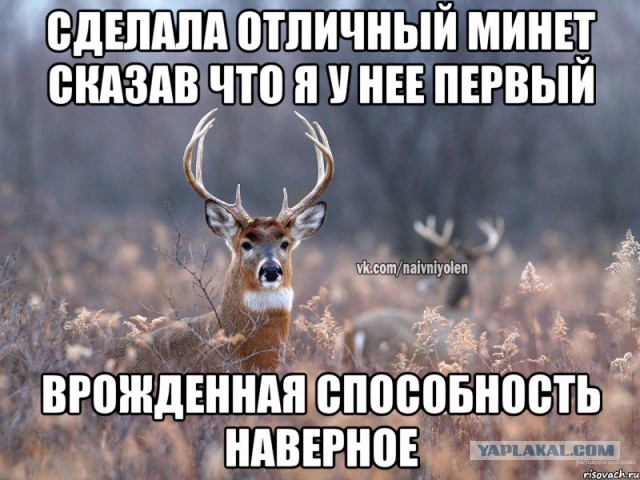 Мемы вспоминаем и добавляем....