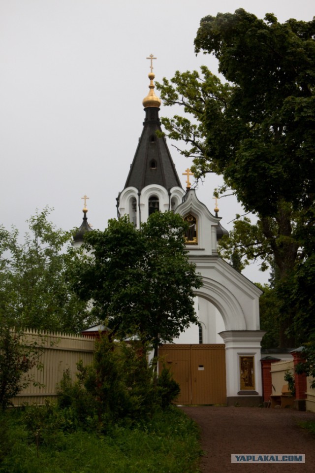 Две недели впечатлений.