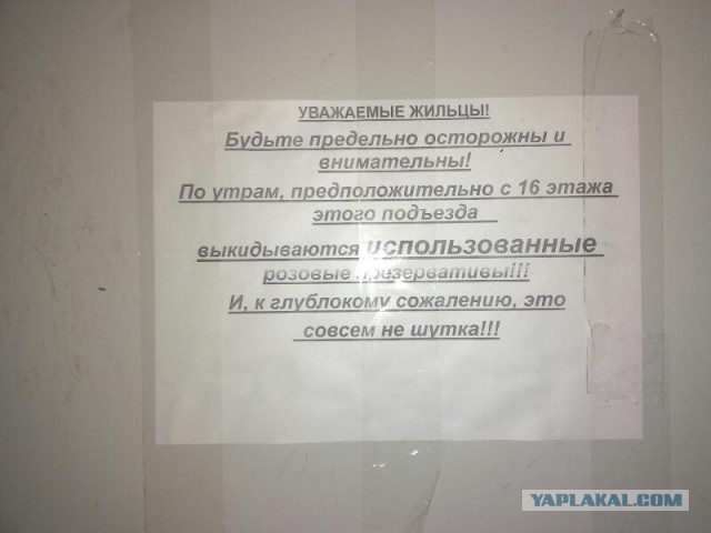 Картинки из Интернетов