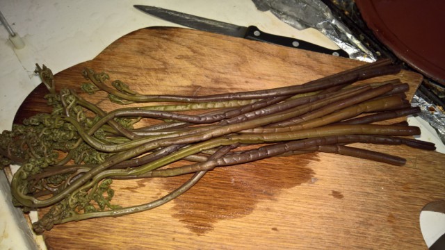 Кальмар+папоротник=вкусно