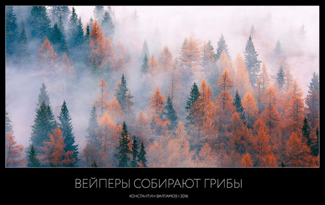 Кое-что новое Jpgшное