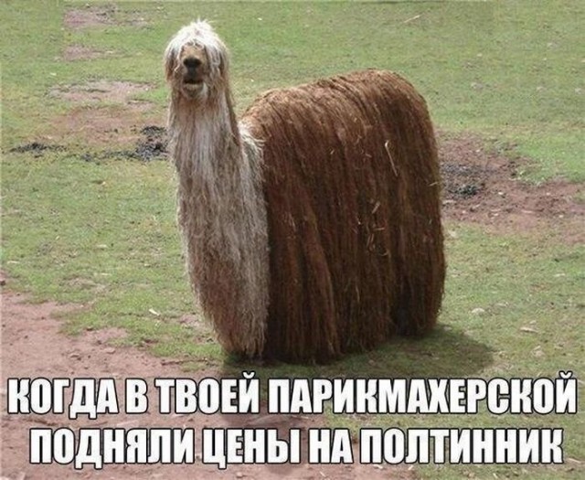 Картинки. Тупые. Очень. 18+ продолжение