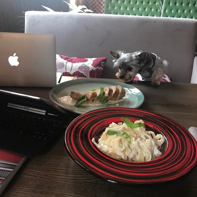 Фотоконкурс «Я и моя собака»