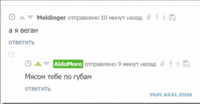 О тараканах в женских головах. Часть 11
