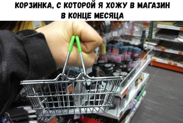 Прикольные картинки 17.06.2017.