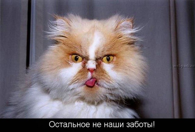 Суббота - рабский день!