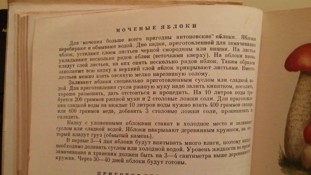 Яблочки моченые на зиму, за 35 мин.
