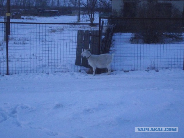А что у вас за окном?