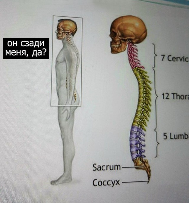 Прикольные картинки обо всем
