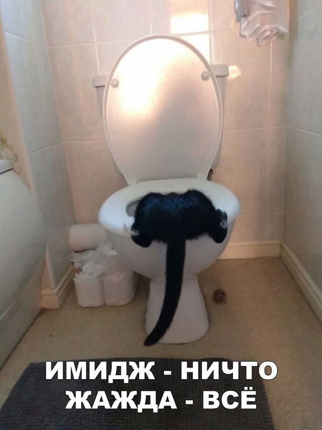 Прикольные картинки абавсём