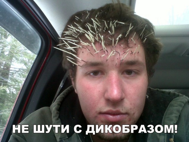 Прикольные картинки абавсём