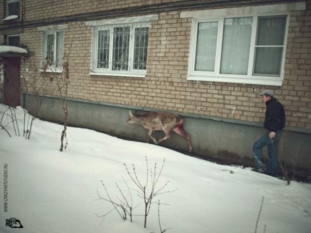 Приключения "Бемби" в Ярославле