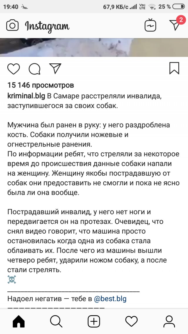 В Самаре стая бродячих собак напала на девушку, это увидели парни на машине и решили не проезжать мимо
