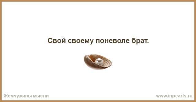 Все. Начали искать соринки в глазу Зеленского