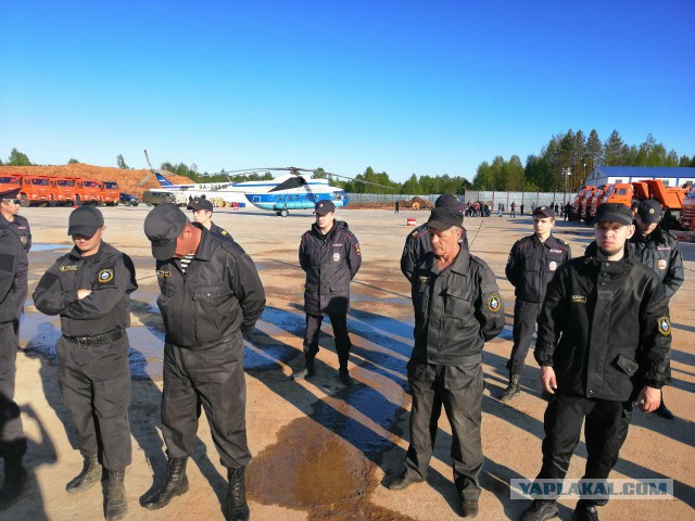 Яповцы SOS ШИЕС
