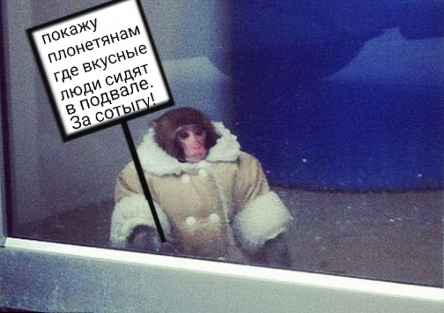Остановите вояджеры! Предотвратите планетарную катастрофу