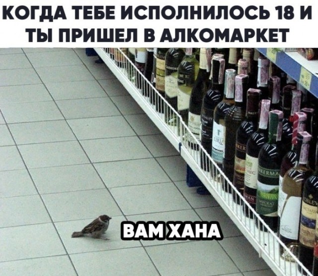 Немного картинок для настроения