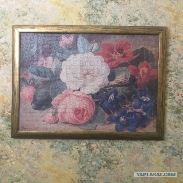 Увлечения ЯПовцев