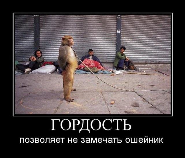 Свистим!