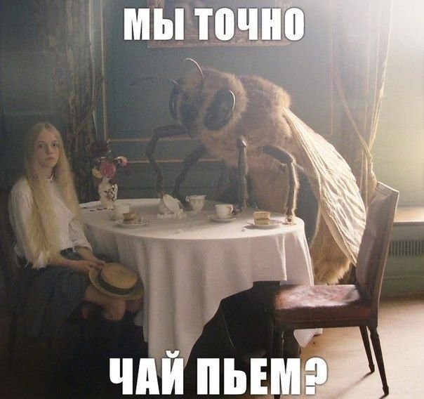 Прикольные и просто красивые картинки 08.04.2020