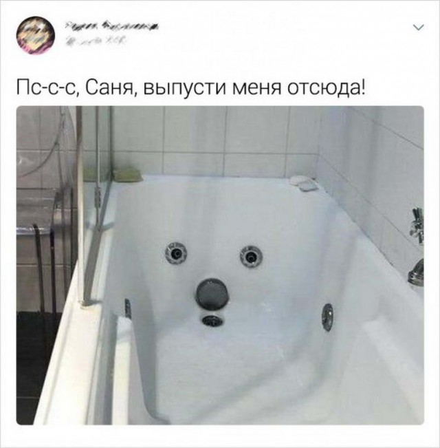 Так себе картинки №16