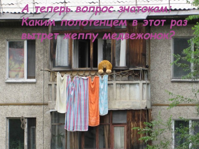 Конкурс: подпись к картинке