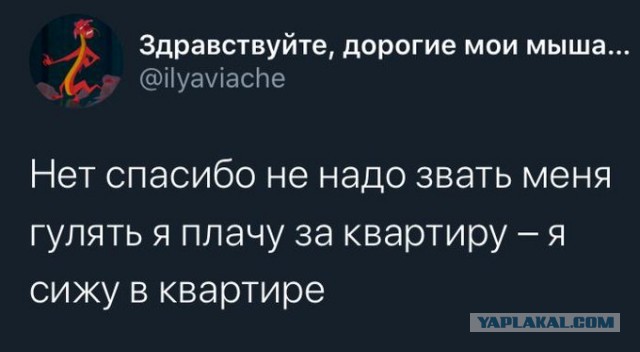Бредзона 09.09.2020