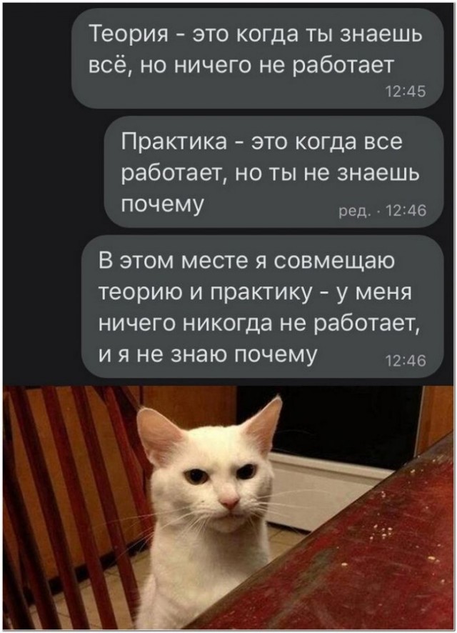 Немного картинок для настроения 03.11.20