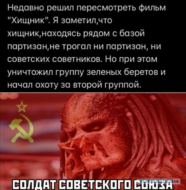 Картинки с надписями фразы и анекдоты