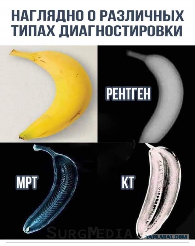 Пандемия. Коронавирус. Россия и мир. Последняя информация. Часть 20