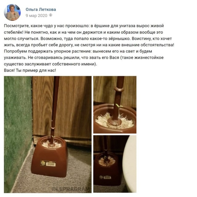 Глава Ассоциации родительских комитетов и сообществ призвала запретить в России TikTok