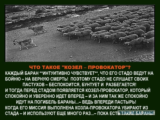 Боевые самолеты. «Иудин козел» или козел-провокатор