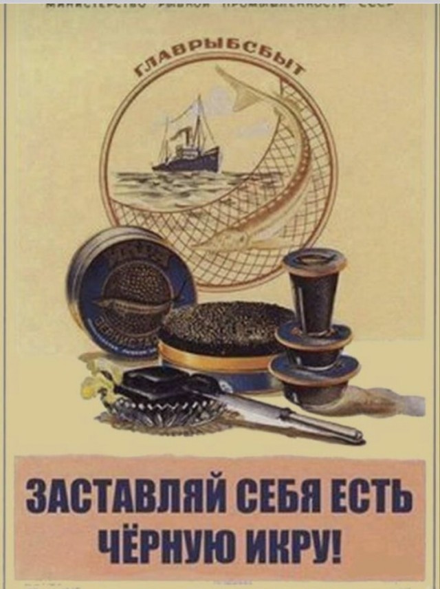 Бредзона 15.02.21