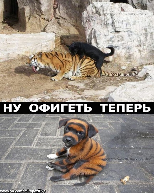 Картинки разные 16.02.2021