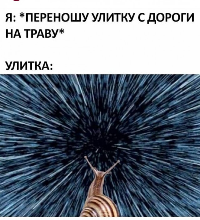Помог муравьишке