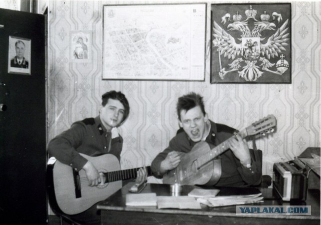 Панки хой, Горшок живой