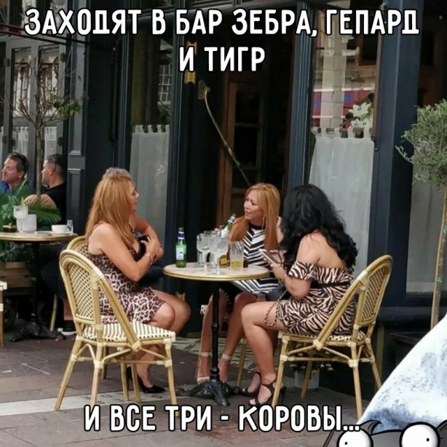 Весёлый полтишок 10.08