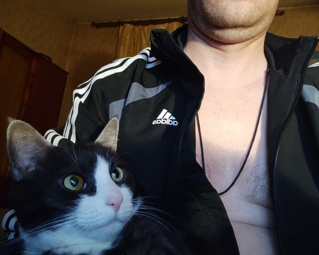 Котовторник. Февраль
