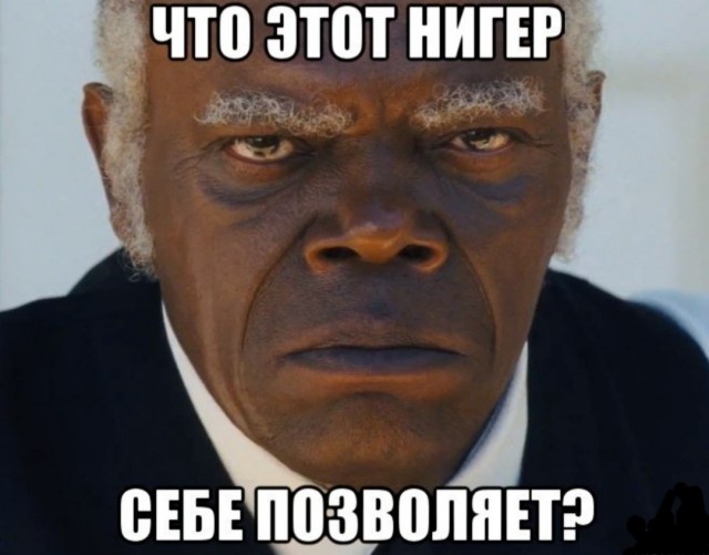 Футболист Курт Зума пнул кота. За это его лишили животных, отстранили от игр и оштрафовали на 250 тысяч фунтов