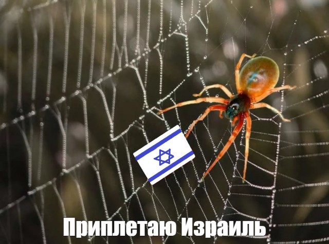 «Немцев тогда не захоронили, просто закопали, как собак»