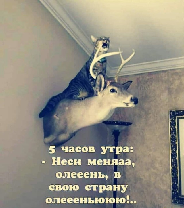 Немного картинок и прочей хреноты Vol. 10