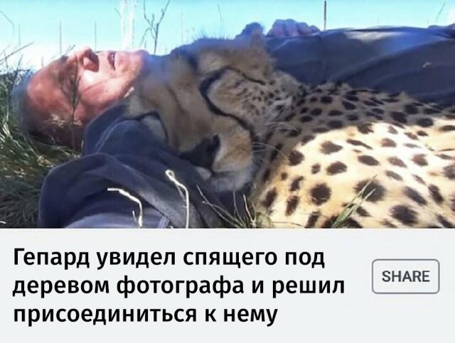 Так себе картинки 08.05.22