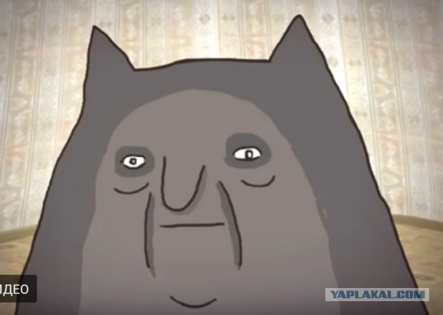 Чем заняться дома