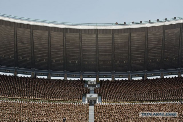 Северная Корея "в цвете"